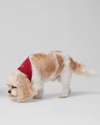 Pet Bandana