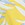 PACIFICO PALMS G LIME