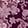 POETRY PAISLEY PLUM