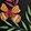 CELESTIAL GARDEN M BLACK