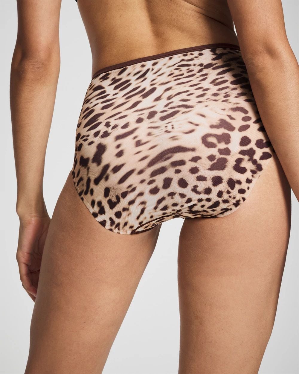 Modern Brief Panty click to view larger image.