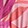 TROPIC BELLE PINK