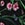 PASSAGE FLORAL BLACK