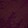 WICKED PLUM