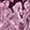 POETRY PAISLEY PLUM