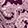 POETRY PAISLEY PLUM