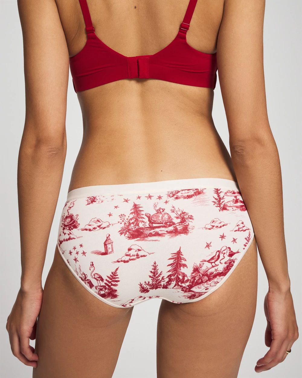 Cotton Hipster Panty click to view larger image.