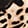 SPOTTED BLACK
