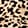 SPOTTED BLACK