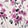 ARTE NOVA FLORAL VIOLET