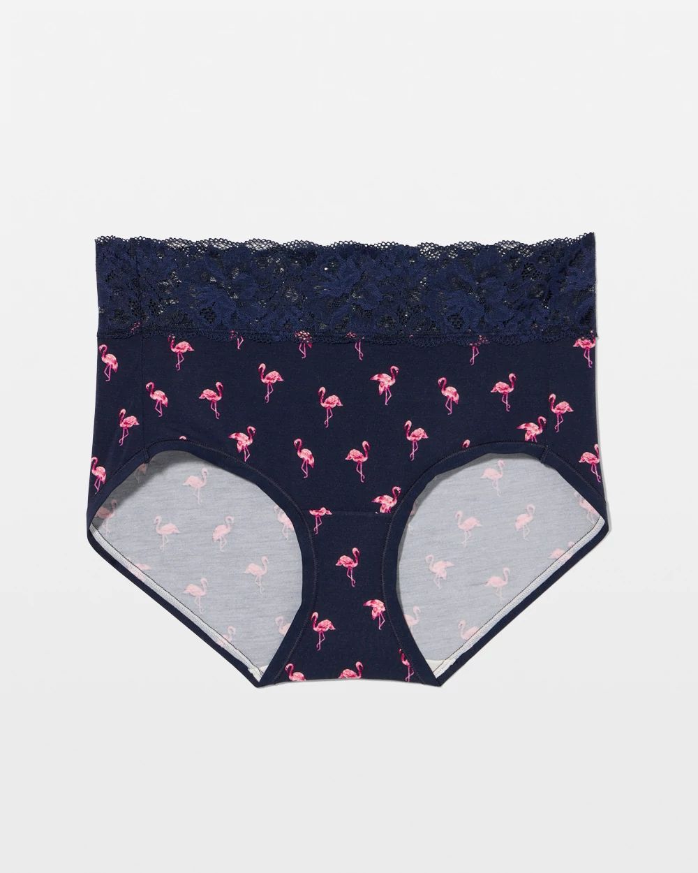 Hipster Panty with Enchanting Lace click to view larger image.