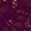 WICKED PLUM