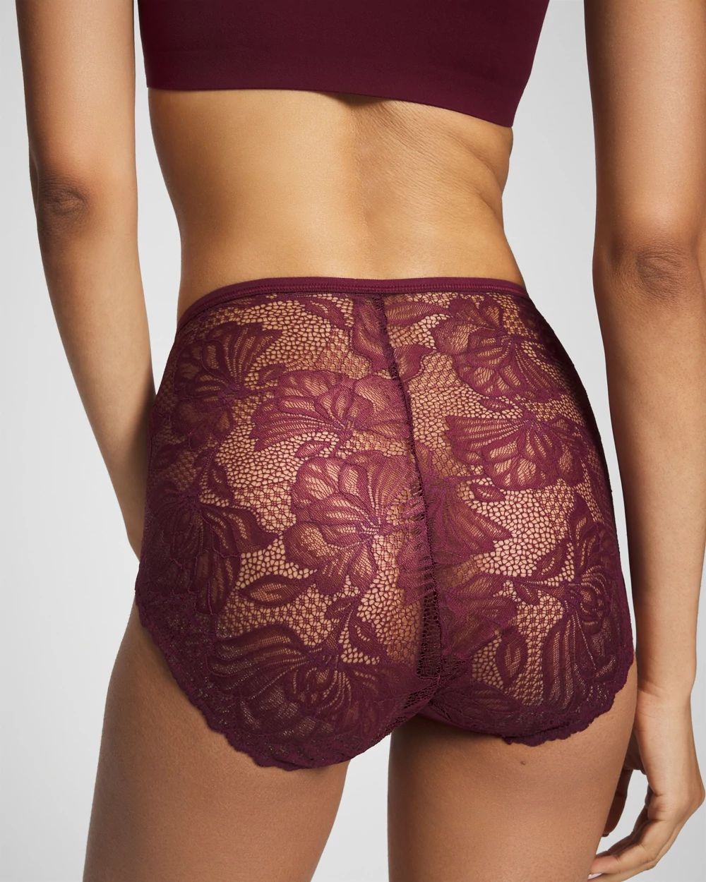 Vanishing Edge Lace Back Modern Brief Panty