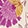 WILDFLOWER RITUAL WHITE