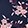 JULIET FLORAL NAVY