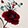 SCARLET BOTANICA STRIPE