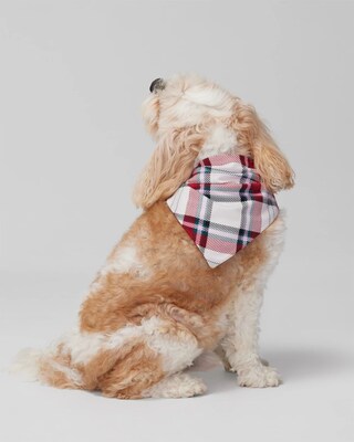 Pet Bandana
