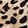 SPOTTED BLACK