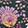 WILDFLOWER RITUAL M EMRLD