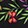 CELESTIAL GARDEN BLACK