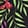 CELESTIAL GARDEN BLACK