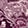 POETRY PAISLEY PLUM