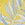 PACIFICO PALMS G LIME