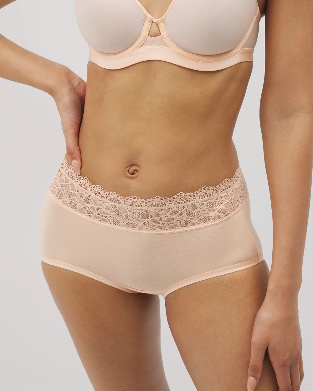 Embraceable Brief Panty with Enchanting Lace