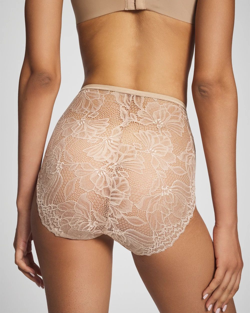 Vanishing Edge Lace Back Modern Brief Panty