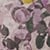 PRESSED PETALS IVORY