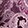 POETRY PAISLEY PLUM