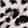 DIVINE LEOPARD TAUPE