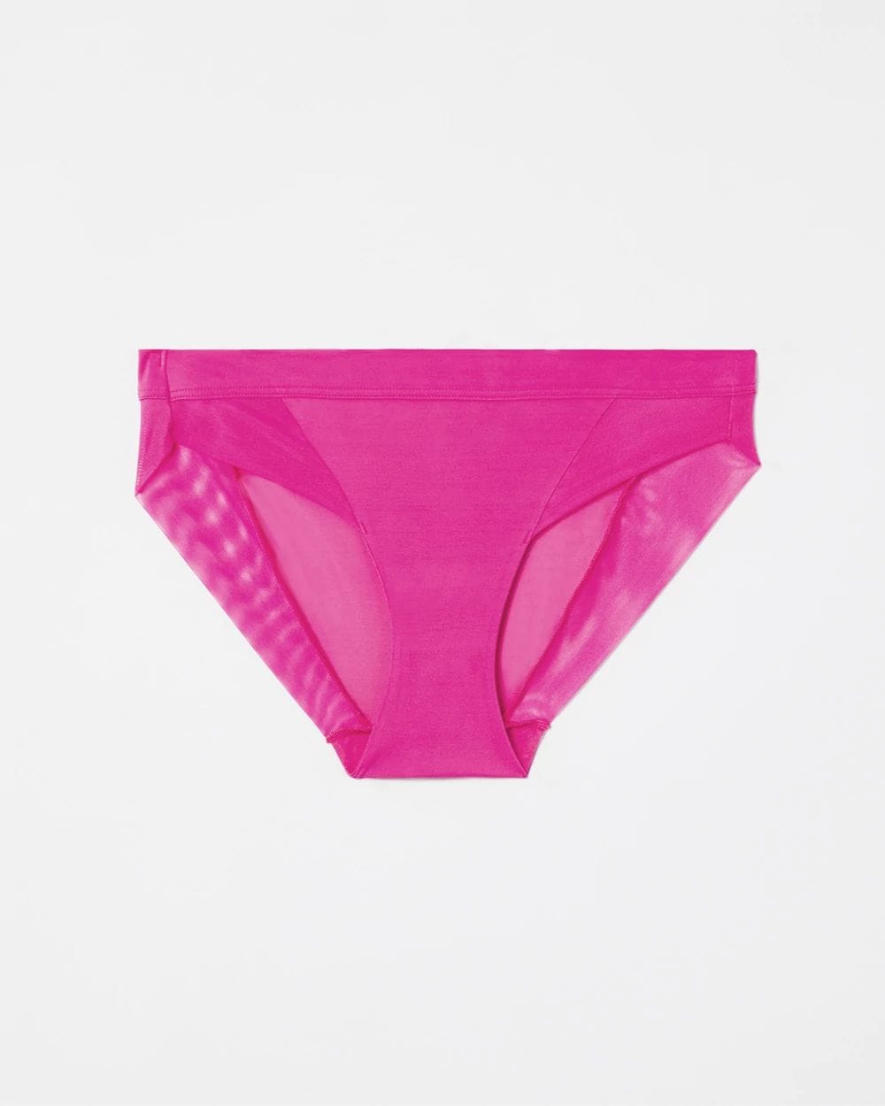 Mesh Bikini Panty
