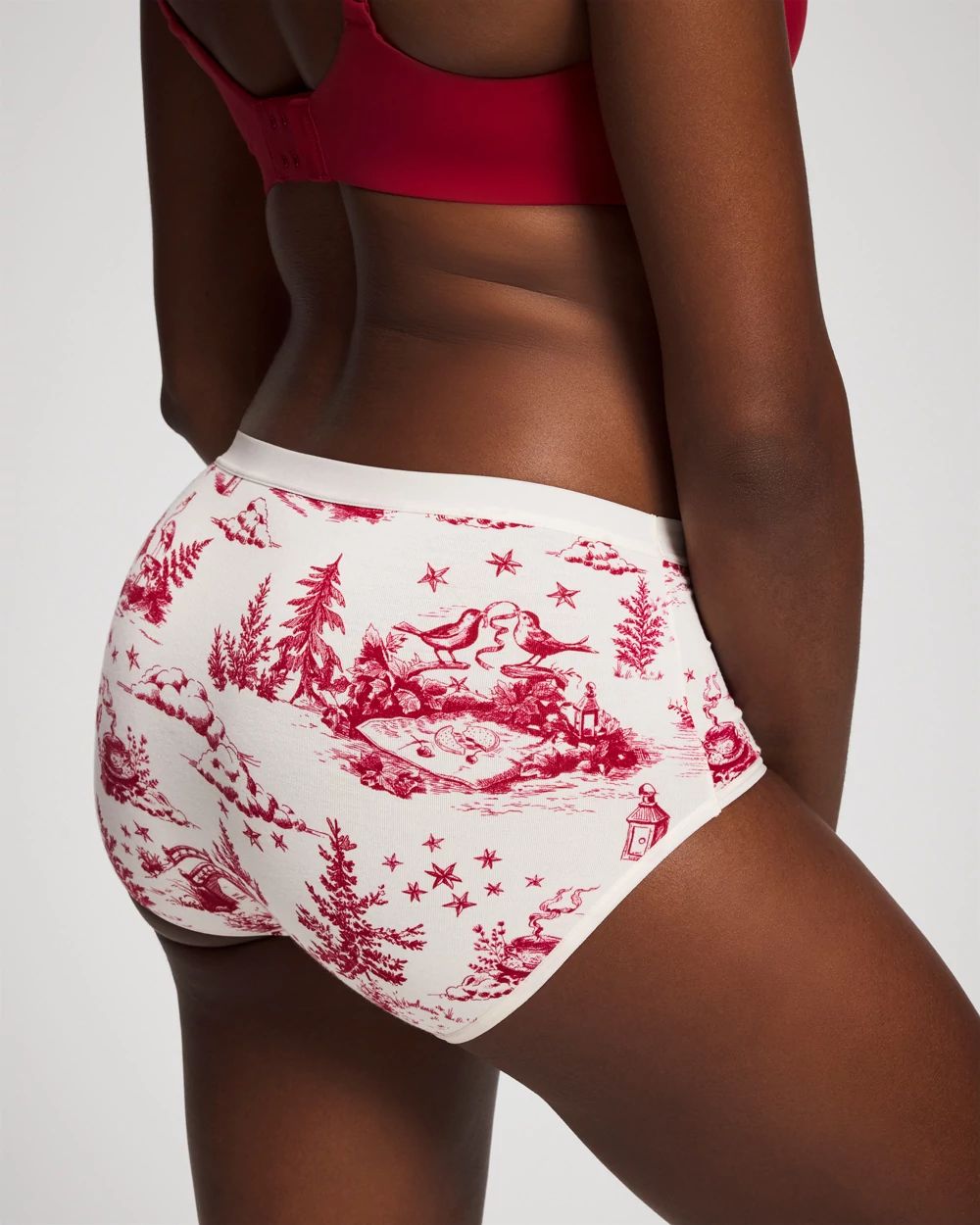 Cotton Modern Brief Panty click to view larger image.