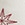 STITCHED STARS G CHAMP