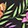 CELESTIAL GARDEN BLACK