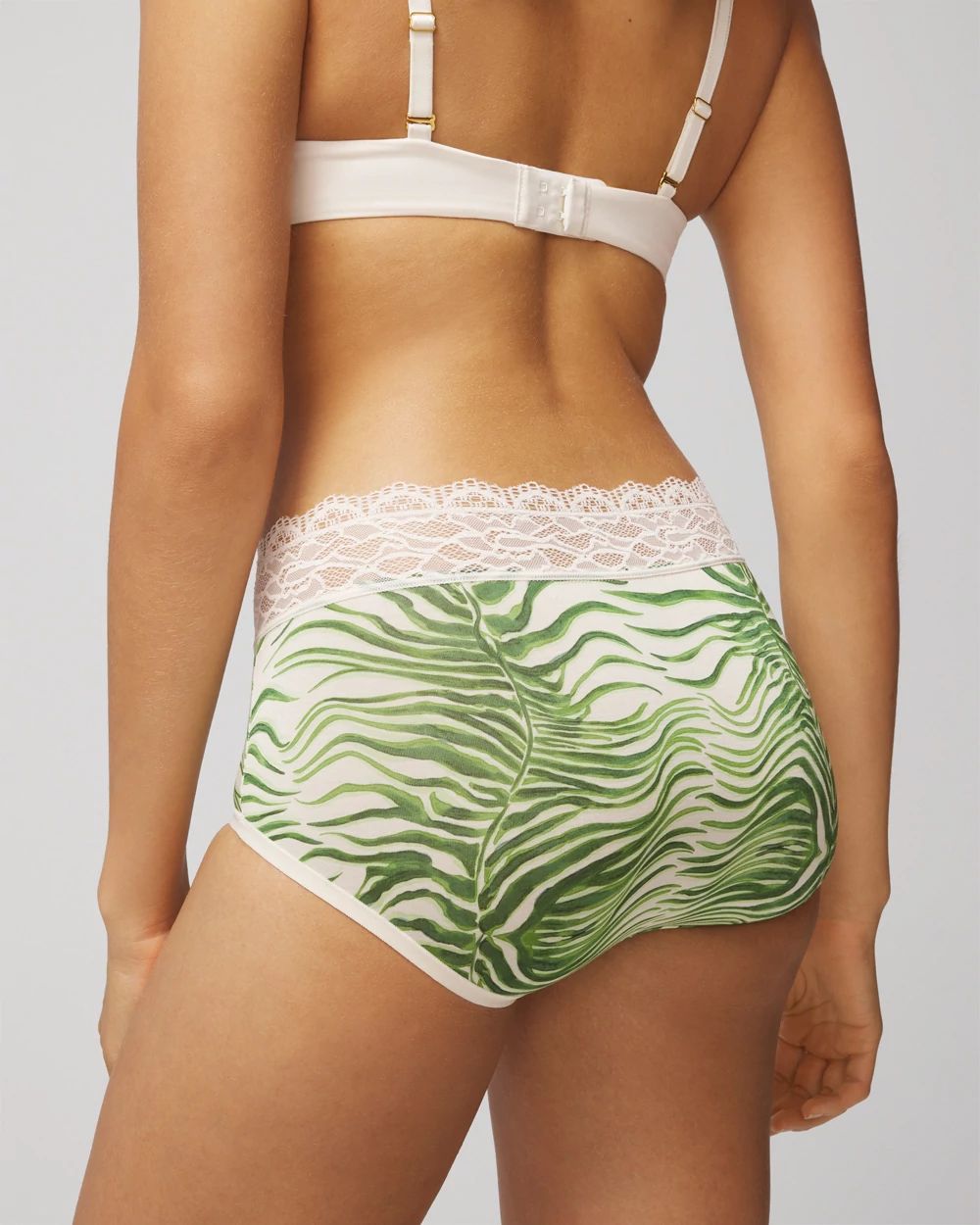 Embraceable Brief Panty with Enchanting Lace