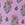 PAISLEY FLORAL META MAUVE