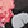 FLORAL DREAMS GRAND BLACK