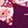 CHIC CHARMS WICKED PLUM