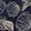 WILD DELIGHT NAVY