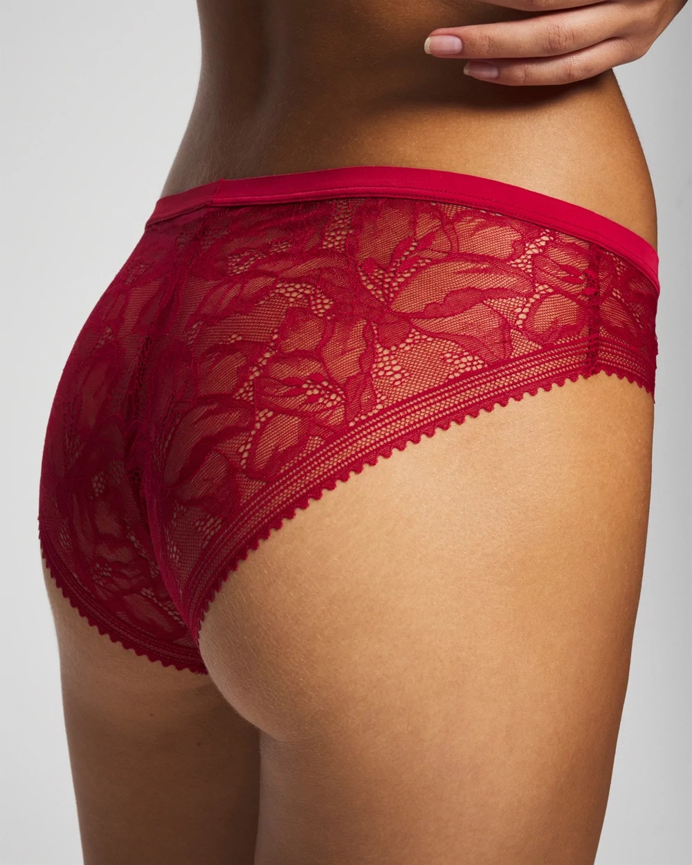 Sheer Lace Hipster Panty