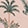 TAHITIAN PALM M P BELLE