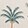 TAHITIAN PALM M CHAMP DR
