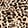 SPOTTED BLACK