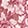 ROSE FLAIR/IVORY