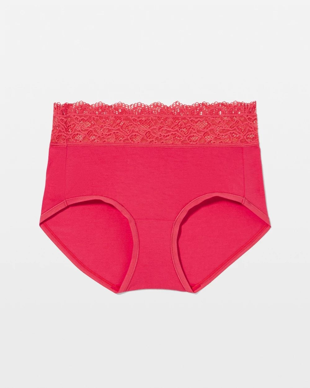 Embraceable Brief Panty with Enchanting Lace