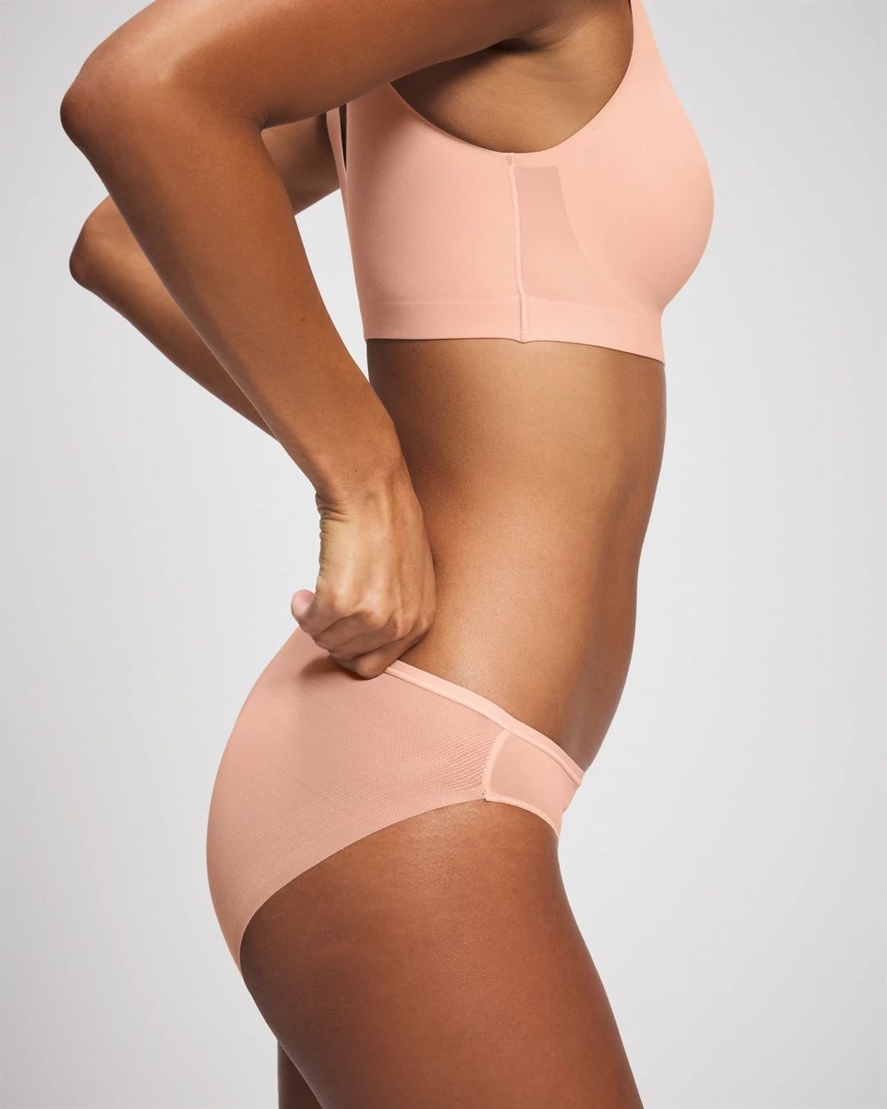 Vanishing Edge Mesh Back Bikini Panty