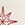 STITCHED STARS G CHAMP