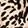 SPOTTED BLACK